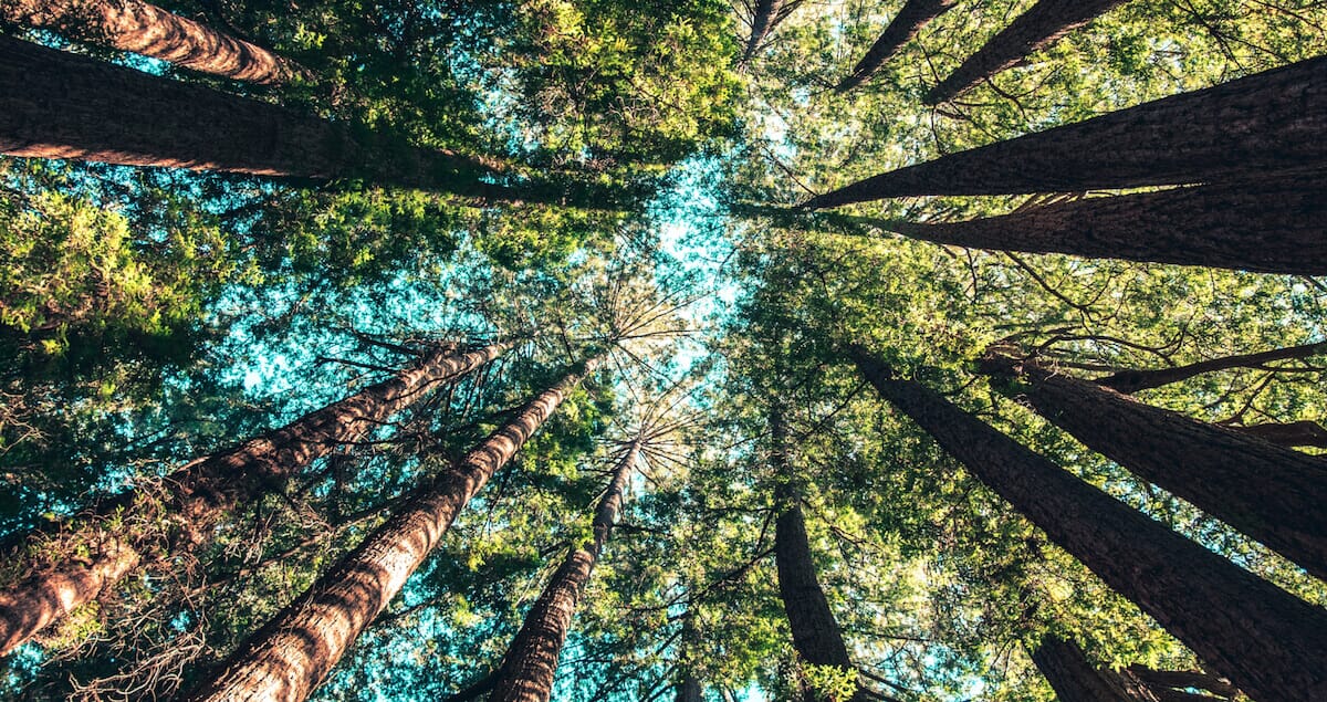 image-content-1-6-1.jpg?w=1024&h=542&scale